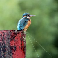 img_70801024x683