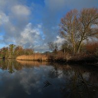 img_76031280x853