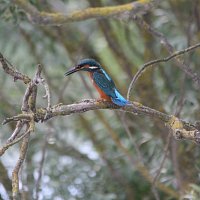 img_7813-copy1280x853