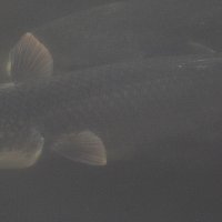 img_7891-copy1280x527