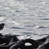 img_7928-copy1280x855
