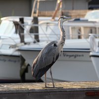 img_7947-copy1280x853