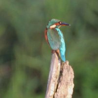 img_8574