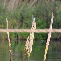 img_85771280x855-1