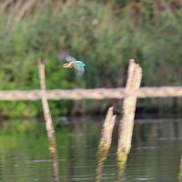 img_85781280x853