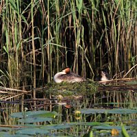 img_85801280x842