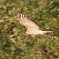 img_8608