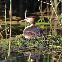 img_86131280x853