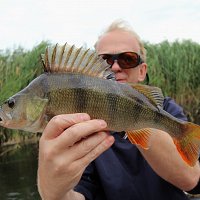 img_90831280x853