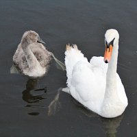 img_9188