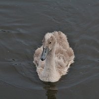 img_9192
