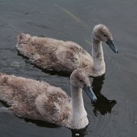 img_9196
