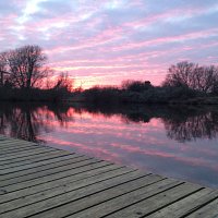photo-1